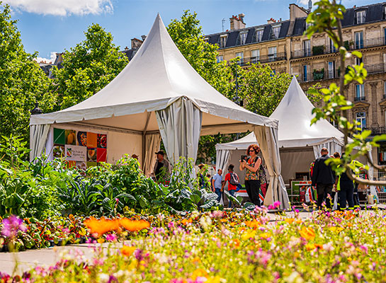 Aménagement d'espaces - Biodiversiterre Paris