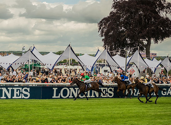 Prix Diane Longines - Structures et Gradins